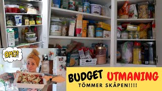 MAT BUDGET UTMANING | EN VECKA 100 KR, 5 PERSONER + SKAFFERI