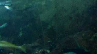DSCF5641.AVI