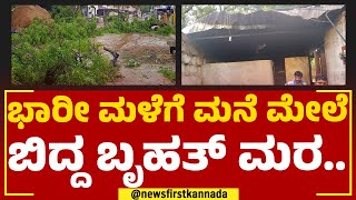 Rain Effect : ಭಾರೀ ಮಳೆಗೆ ಮನೆ ಮೇಲೆ ಬಿದ್ದ ಬೃಹತ್ ಮರ.. | Davanagere | @newsfirstkannada