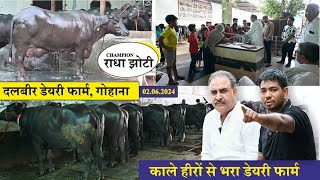 काले हीरों से भरा हुआ डेयरी फार्म || CHAMPION RADHA JHOTI || DALBIR DAIRY FARM, GOHANA