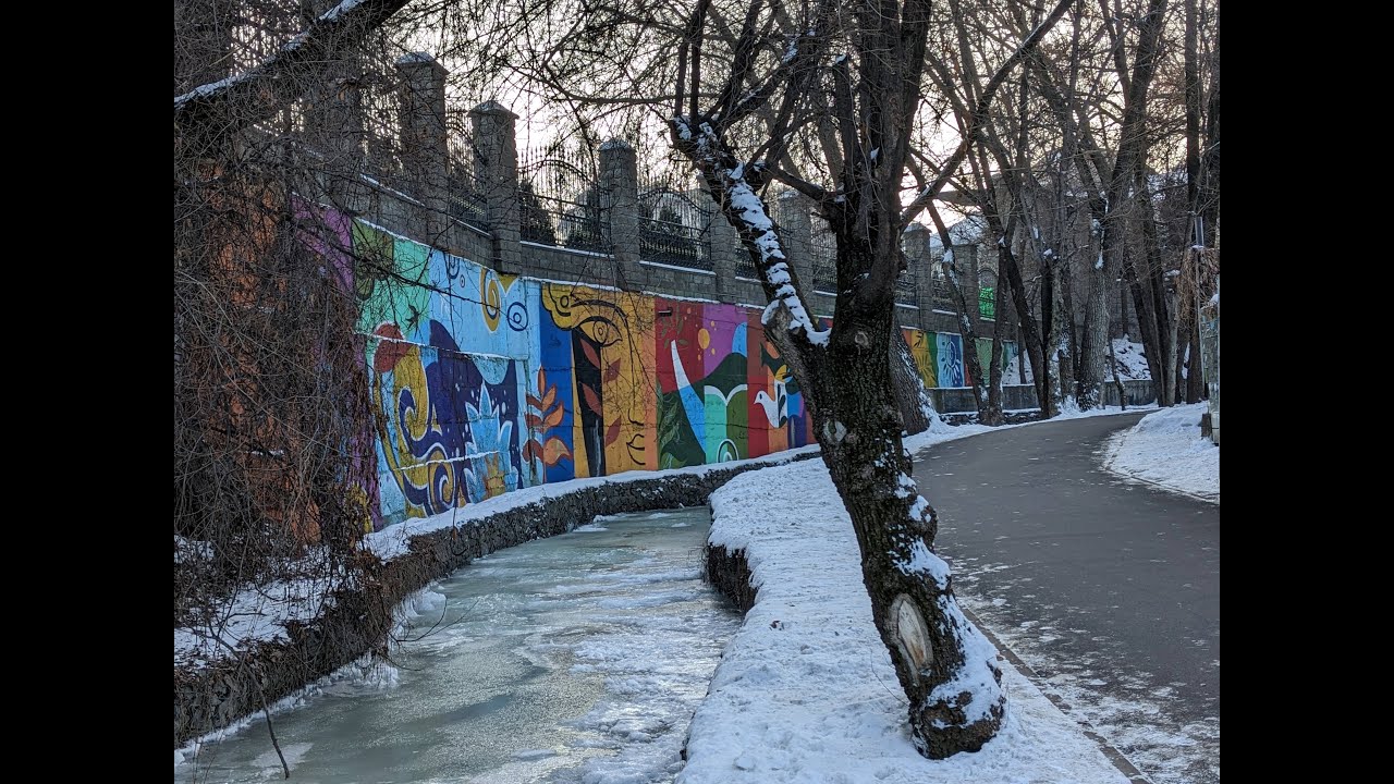 3 Minute Guided Breathing Exercise