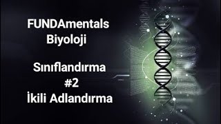 Sınıflandırma #2 İkili Adlandırma