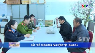 Bắt 2 đối tượng mua bán động vật hoang dã