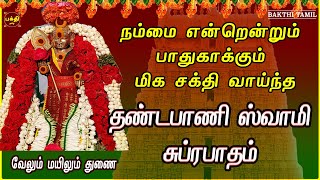 சுபிக்ஷம் வீட்டில் என்றும் நிலைத்து நின்றிட கேட்க வேண்டிய | தண்டபாணி ஸ்வாமி சுப்ரபாதம் | BAKTHIPADAL