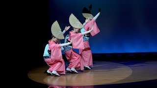 美しいうずき連のおどり　　Awaodori　“Uzukiren”