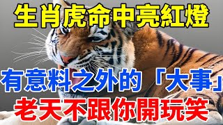 生肖虎注意了！未來一周，命中亮紅燈，有意料之外的「大事」，老天不跟你開玩笑！【佛語禪音】#生肖 #命理 #運勢 #屬相 #風水