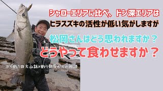 シャローエリアに比べ、ドン深エリアはヒラスズキの活性が低い気がしますが、松岡さんはどう思われますか？またどうやって食わせますか？・釣り部屋からの雑談・四方山話１７９