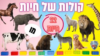 קולות של חיות לילדים ולפעוטות 🐘 🐕22 בעלי חיים והקול שהן עושות חיות לתינוקות מילים ראשונות🐶🐱