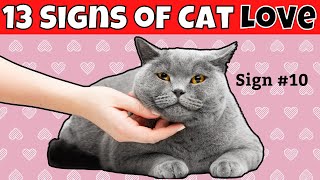 13 Signs Your Cat LOVES You