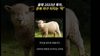 2023년 금전운 뻥 뚫리는 대박 띠 3가지 #shorts