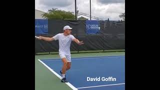 David Goffin mogul step forehand footwork