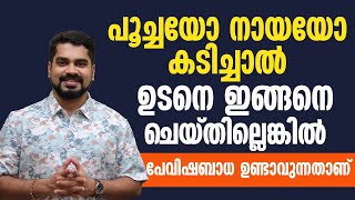 പൂച്ചയോ നായയോ കടിച്ചാൽ പെട്ടെന്ന് ഇങ്ങനെ ചെയ്താൽ പേവിഷ ബാധ വരികയില്ല