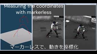 【DITECT Analysis Software】Markerless motion capture