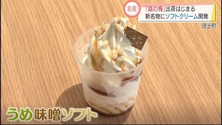 旬の梅　新名物はソフトクリーム　スーパーJにいがた6月18日OA