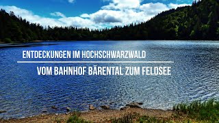 Entdeckungen im Hcchschwarzwald - Vom Bahnhof Bärental zum Feldsee