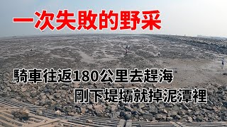 一次失敗的野采，騎車往返180公里去趕海，結果剛下堤壩就掉泥潭裡|A failed wild fish catching activity.