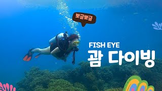 괌 다이빙 FISH EYE 오픈워터 취득 후 첫 입수!