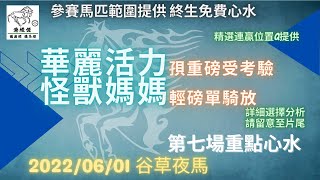 港經佬賽馬貼士及分析｜第七參賽馬匹資料｜01-06-2022 跑馬地九場夜馬谷草賽事｜免費心水及賽馬貼士｜全方位博彩及投資頻道｜足球｜賽馬｜股票｜樓市