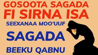 🔴👉Seexanaa moo'uuf akkamitti sagaduu qabna| gosoota Sagada fi Sirna Sagada | Dhangaa Lubbuu