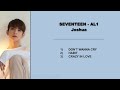 seventeen al1 joshua solos