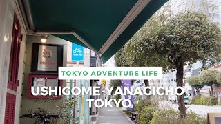 Walking Around Tokyo (Ushigome-Yanagicho) 牛込柳町