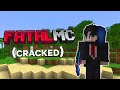 Brand New CRACKED Lifesteal SMP (free to join!)