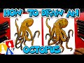 How To Draw A Realistic Octopus