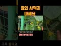 천원으로 작은 화분에서 참외 100개 이상 따먹기 shorts