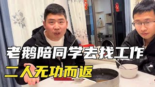 老鹅陪老同学去找工作，二人灰溜溜的回到家，被小胖胖一顿数落【土家老鹅】