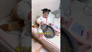 英国佬被人类幼崽亲的受宠若惊猫和孩子 猫为什么对小孩这么好 猫咪带娃 心思全写在脸上的猫 超有爱