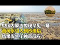 中國內蒙古出現罕見奇跡，將黃河水引入沙漠後，結果發生了神奇反應？