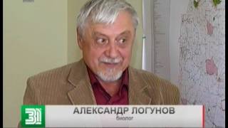 Не паук и не саранча. Биологи раскрыли загадку необычного насекомого, которое обнаружили челябинцы