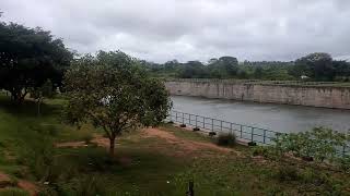 Yagachi River and Dam Belur ❤️❤️