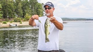 Scott Suggs Breaks Down Lake Ouachita