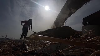 Gaza flour mills ground down by Ukraine conflict