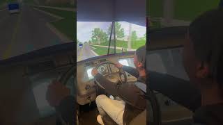 HIT and RUN in Truck Driving Sim!!!