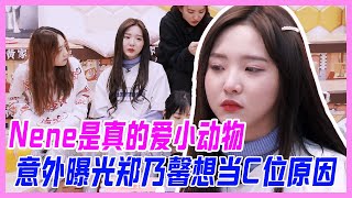 鄭乃馨想當C位原因意外曝光，Nene是真的愛小動物。【硬糖少女團綜】