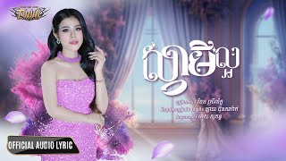 ស្វាមីល្អ - ចែម ស្រីល័ក្ខ  - Chem Sreyleak - Official Audio Lyric