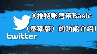 X推特账号带Basic（基础版）的功能介绍！#twitter #twitter蓝v号