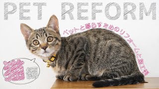 【猫好きあつまれ~】ペットも飼い主も幸せになる４つのリフォームのポイントと参考になるペットリフォーム施工例も紹介♪