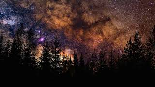 1 Minute Meditation | Starry Night over Forest | #Shorts