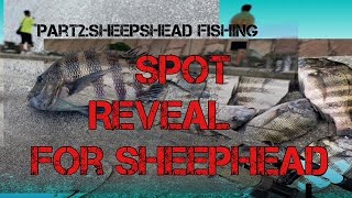 Secret Spot Revealed for Sheepshead