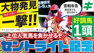 セントライト記念 2023 【好調/穴馬】「大物発見」あの穴馬が一撃！菊花賞出走に向けて全力勝負だ！！