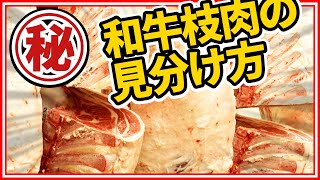 【特別取材】セリ前の懸肉室で枝肉の見分け方を学ぶ！《雑学編》常識が変わる！知ってるつもりで意外と知らないお肉の世界！ 肉肉チャンネル～おもいのフライパン公式