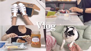 Vlog. 동대문디자이너 / 프리랜서 / 일주일브이로그/도매디자이너/던스트/콜릿/코모레비뮤지엄/피셔맨/부추비빔밥/엣티제의하루