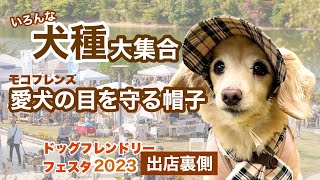 【ドッグフレンドリーフェスタ】愛犬の目を守る帽子 初出店！いろんな犬種との出会い♡ 2024年1月4日