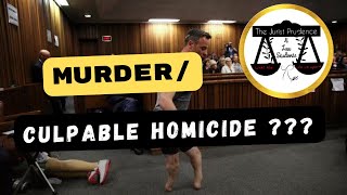 What is the difference between Murder and Culpable homicide? || SA CASE LAW CARTOONS