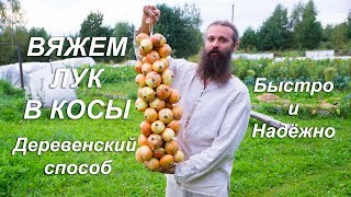 Вяжем лук в косы.Деревенский способ. Проверено временем.