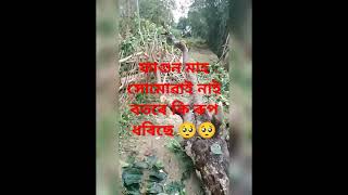 শীল বৰষুণ ধুমুহা কি যে হ'ব😭 ফাগুন গোটেই মাহটো আছেই 🤔