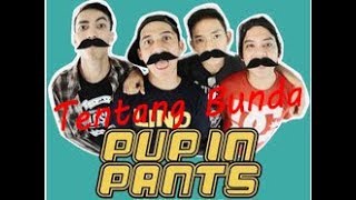 Lirik Lagu Pup In Pants - Tentang Bunda